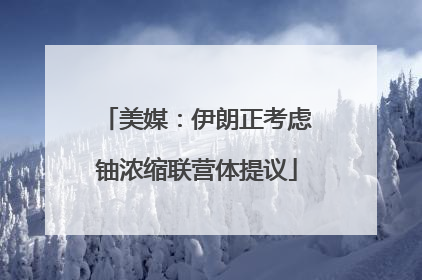 美媒：伊朗正考虑铀浓缩联营体提议
