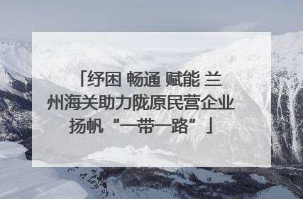 纾困 畅通 赋能 兰州海关助力陇原民营企业扬帆“一带一路”