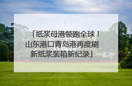 纸浆母港领跑全球！山东港口青岛港再度刷新纸浆装箱新纪录