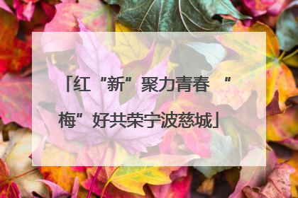 红“新”聚力青春 “梅”好共荣宁波慈城