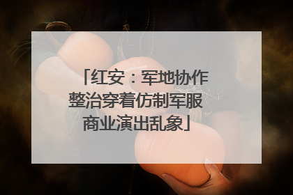 红安：军地协作整治穿着仿制军服商业演出乱象
