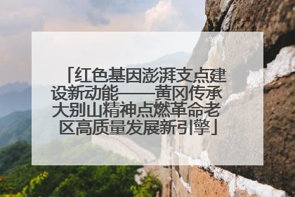 红色基因澎湃支点建设新动能——黄冈传承大别山精神点燃革命老区高质量发展新引擎