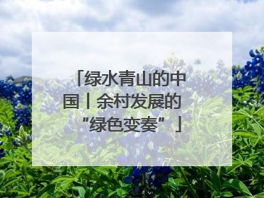绿水青山的中国丨余村发展的“绿色变奏”