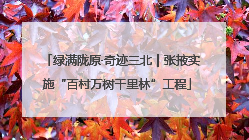 绿满陇原·奇迹三北｜张掖实施“百村万树千里林”工程