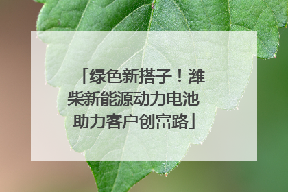 绿色新搭子！潍柴新能源动力电池助力客户创富路
