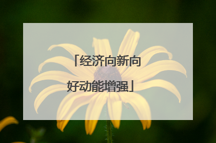 经济向新向好动能增强