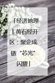 经济地理丨黄石经开区：聚企成链“芯光”闪耀