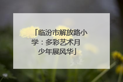 临汾市解放路小学：多彩艺术月 少年展风华