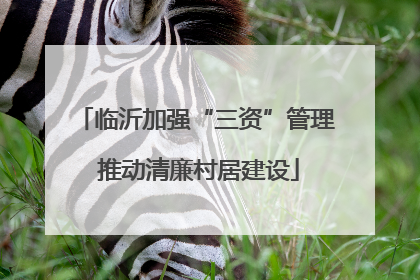 临沂加强“三资”管理 推动清廉村居建设