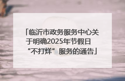 临沂市政务服务中心关于明确2025年节假日“不打烊”服务的通告