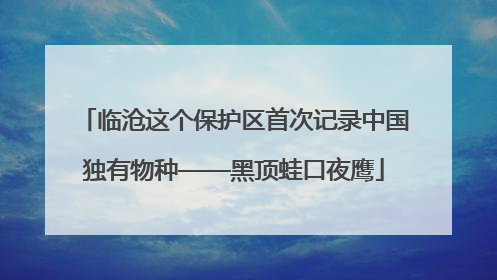 临沧这个保护区首次记录中国独有物种——黑顶蛙口夜鹰