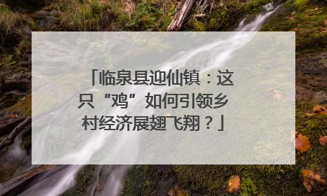 临泉县迎仙镇：这只“鸡”如何引领乡村经济展翅飞翔？