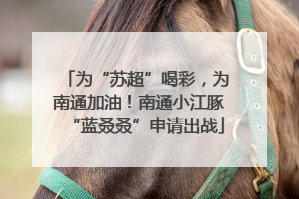 为“苏超”喝彩，为南通加油！南通小江豚“蓝叒叒”申请出战