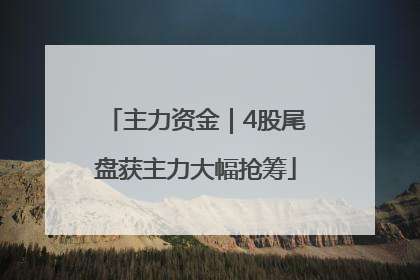 主力资金｜4股尾盘获主力大幅抢筹
