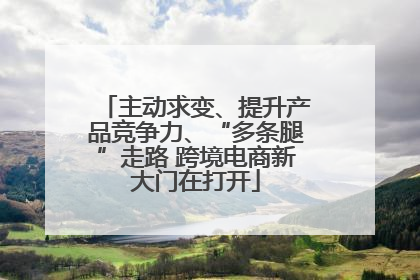 主动求变、提升产品竞争力、“多条腿”走路 跨境电商新大门在打开