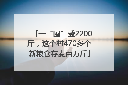 一“囤”盛2200斤，这个村470多个新粮仓存麦百万斤