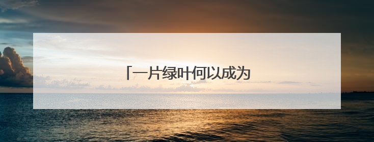一片绿叶何以成为乡村振兴“金叶”