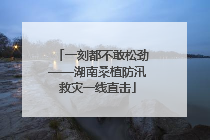 一刻都不敢松劲——湖南桑植防汛救灾一线直击