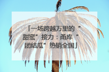 一场跨越万里的“甜蜜”接力：甬库“团结瓜”热销全国