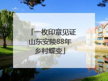 一枚印章见证山东安陵88年乡村蝶变
