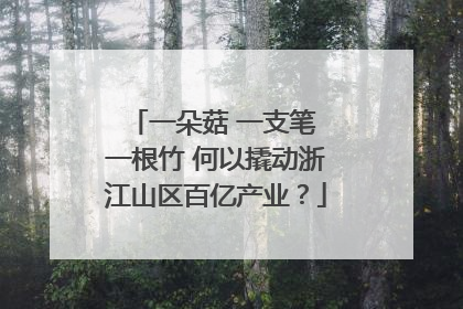 一朵菇 一支笔 一根竹 何以撬动浙江山区百亿产业？