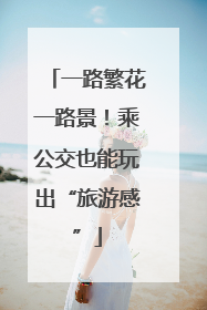 一路繁花一路景！乘公交也能玩出“旅游感”