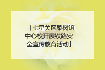 七星关区梨树镇中心校开展铁路安全宣传教育活动