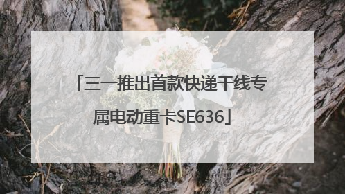 三一推出首款快递干线专属电动重卡SE636