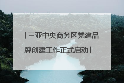三亚中央商务区党建品牌创建工作正式启动