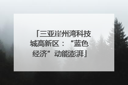 三亚崖州湾科技城高新区：“蓝色经济”动能澎湃