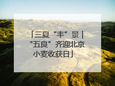 三夏“丰”景｜“五良”齐迎北京小麦收获日