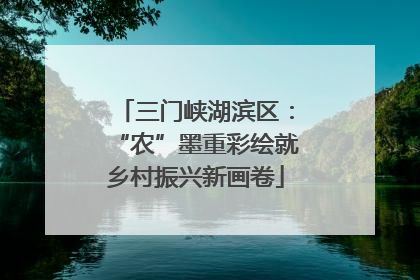 三门峡湖滨区：“农”墨重彩绘就乡村振兴新画卷