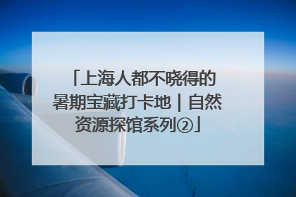 上海人都不晓得的 暑期宝藏打卡地｜自然资源探馆系列②