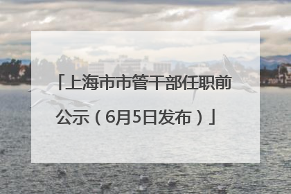 上海市市管干部任职前公示（6月5日发布）