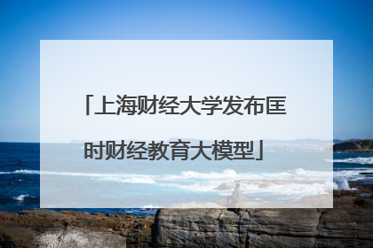 上海财经大学发布匡时财经教育大模型