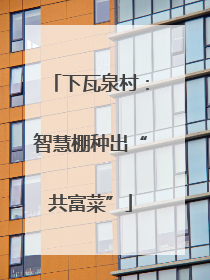 下瓦泉村：智慧棚种出“共富菜”