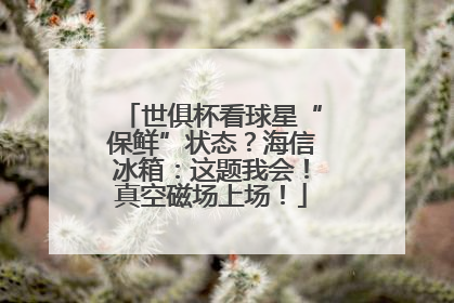 世俱杯看球星“保鲜”状态？海信冰箱：这题我会！真空磁场上场！