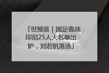 世预赛｜国足客战印尼25人大名单出炉，刘若钒落选