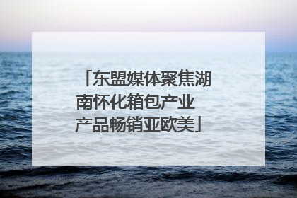东盟媒体聚焦湖南怀化箱包产业 产品畅销亚欧美