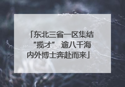 东北三省一区集结“揽才” 逾八千海内外博士奔赴而来