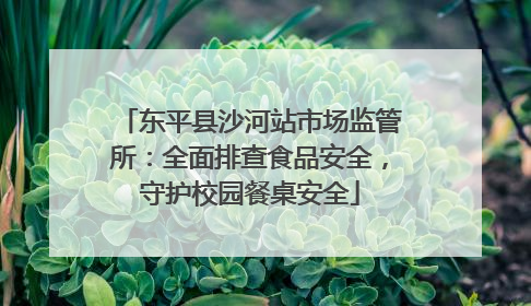 东平县沙河站市场监管所：全面排查食品安全，守护校园餐桌安全