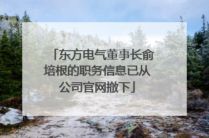 东方电气董事长俞培根的职务信息已从公司官网撤下