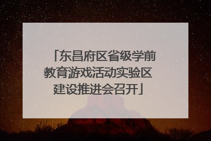 东昌府区省级学前教育游戏活动实验区建设推进会召开