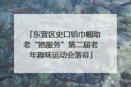 东营区史口镇巾帼助老“她服务”第二届老年趣味运动会落幕
