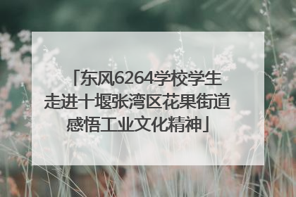 东风6264学校学生走进十堰张湾区花果街道感悟工业文化精神