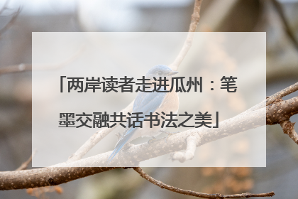 两岸读者走进瓜州：笔墨交融共话书法之美