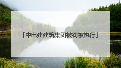 中电建建筑集团被罚被执行