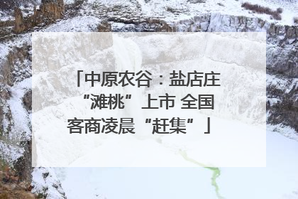 中原农谷：盐店庄“滩桃”上市 全国客商凌晨“赶集”