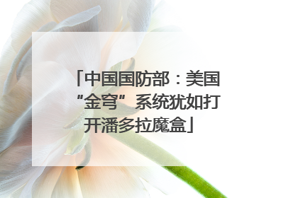 中国国防部：美国“金穹”系统犹如打开潘多拉魔盒