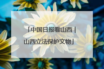 中国日报看山西｜山西立法保护文物